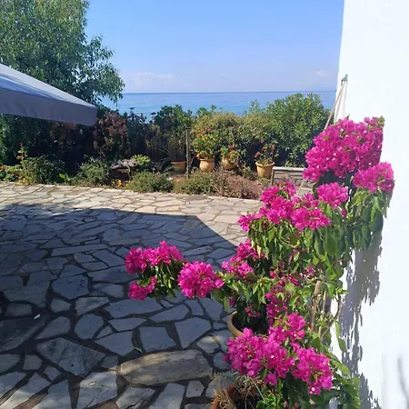 Casa vacanze Front House