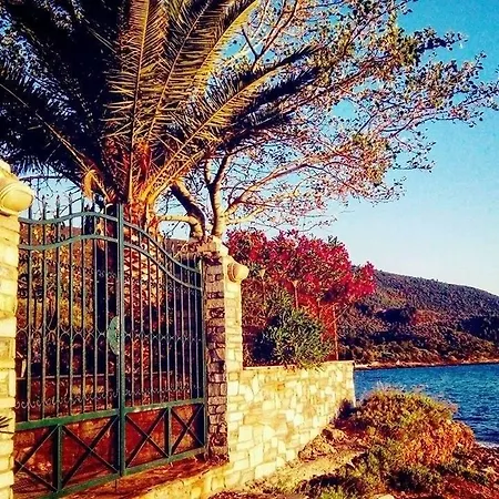 Front House *